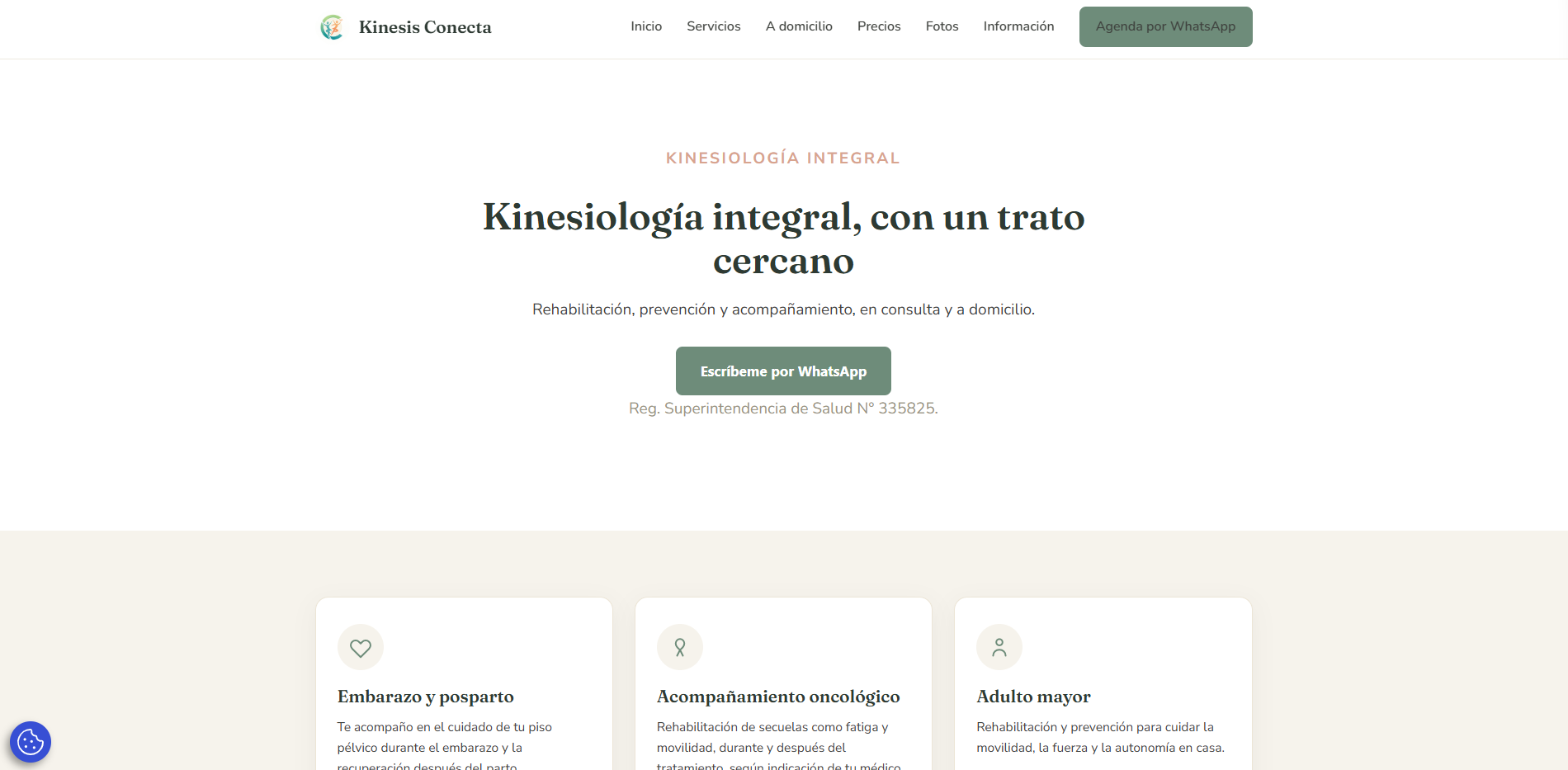 Captura del sitio kinesisconecta.cl